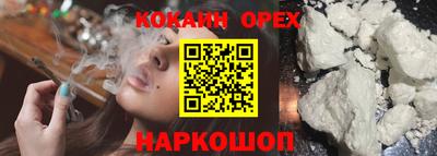 крисы Аргун