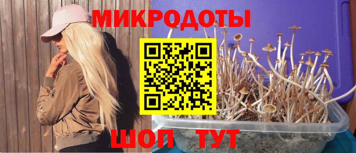 Галлюциногенные грибы Cubensis  Вход с VPN  Берёзовский  Псилоцибиновые грибы Psilocybe 