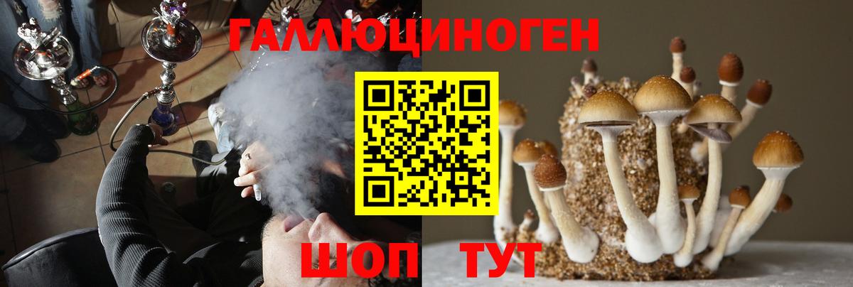 Псилоцибиновые грибы GOLDEN TEACHER Берёзовский