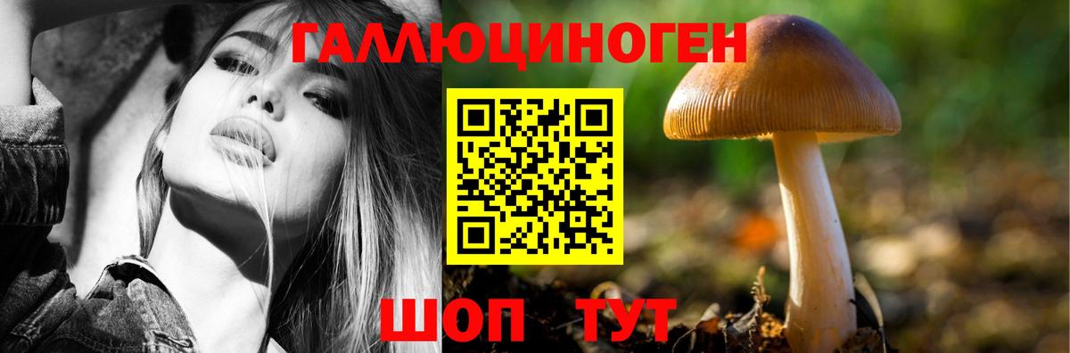 Псилоцибиновые грибы ЛСД  Берёзовский  Галлюциногенные грибы мухоморы 