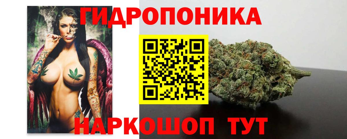 МАРИХУАНА план  Бошки Шишки планчик  Берёзовский  Бошки Шишки MAZAR  Вход с VPN 